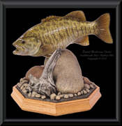 Smallmouth Bass Replica Pedestal Display - 8lbs.