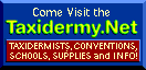 www.taxidermy.net