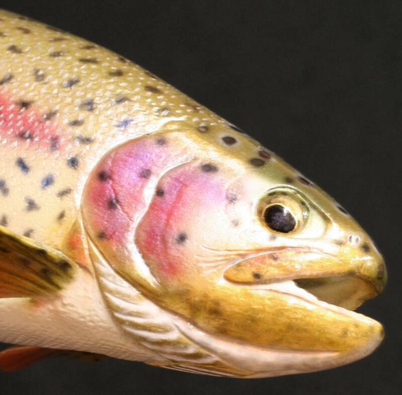 Fish wood carvings - fish sculptures - fish replicas - wildlife art