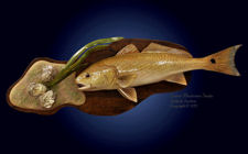 Redfish Replica with oyster shells