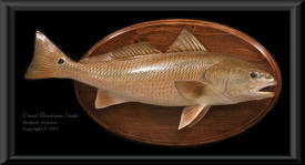 Sarasota Bay Redfish Replica